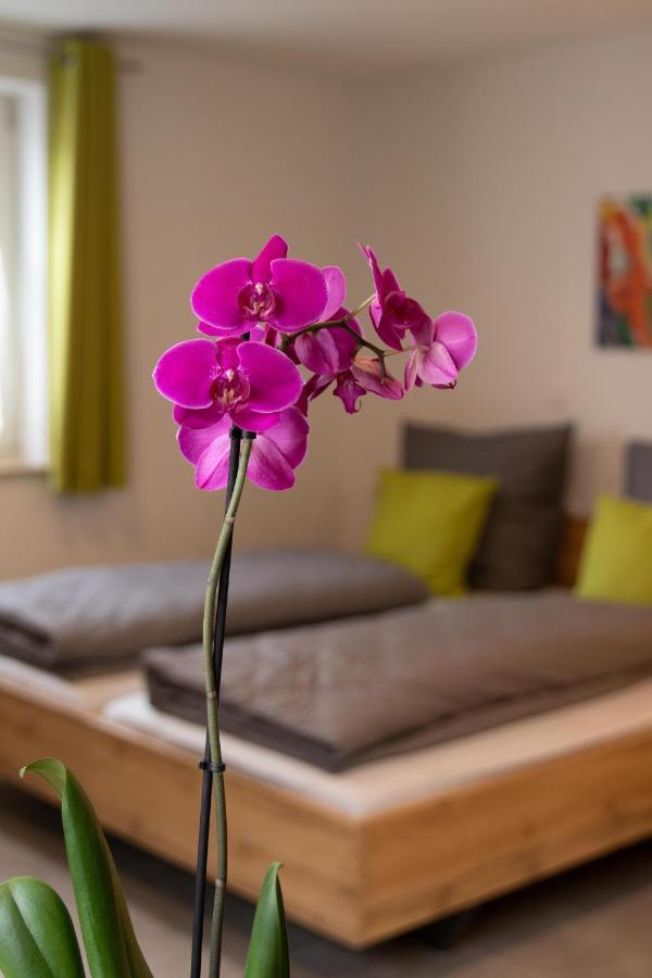 Apartment Alte Raiffeisenkasse Rothenburg Ob Der Tauber Kültér fotó